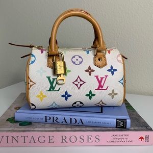✨💕 Louis Vuitton Multicolor Mini Speedy Bag 💕✨